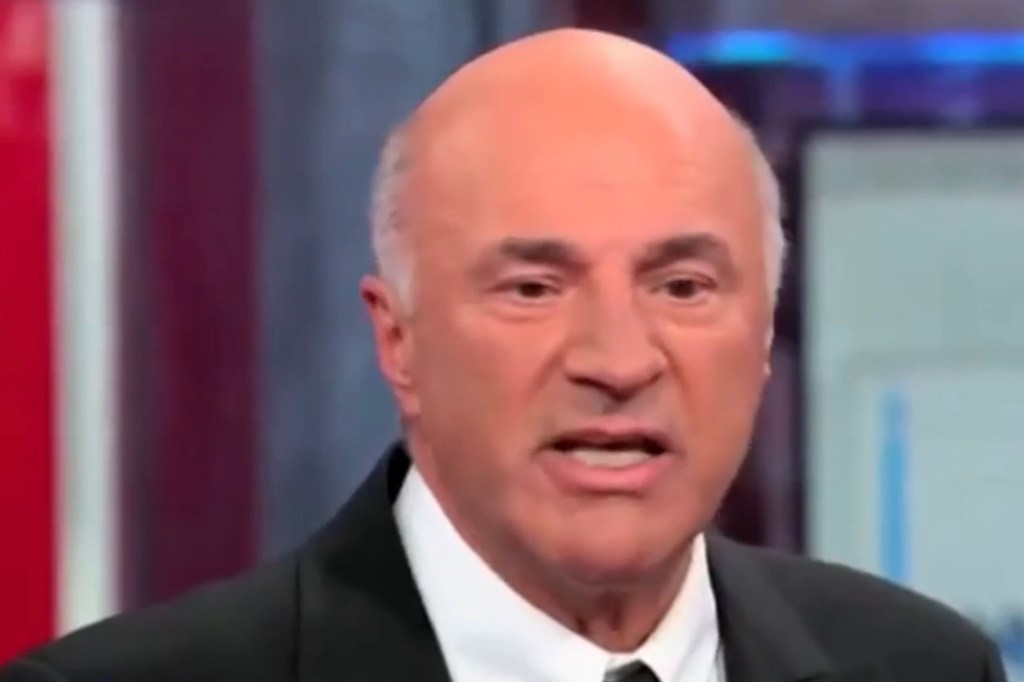 "Shark tank" host Kevin O'Leary called Vice President Kamala Harris a "fractured candidate who was irrelevant in her vice presidential run."